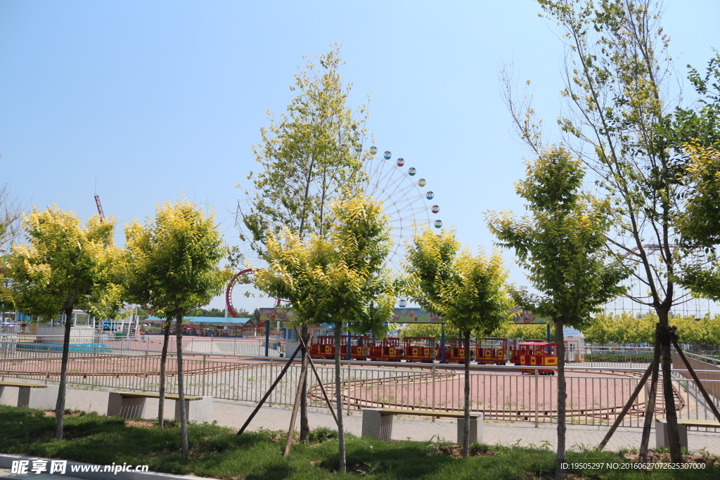 公园草地