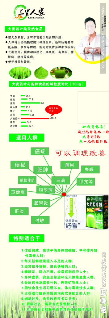 大麦若叶粉X展架