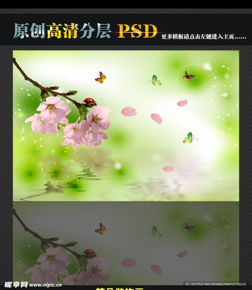 樱花