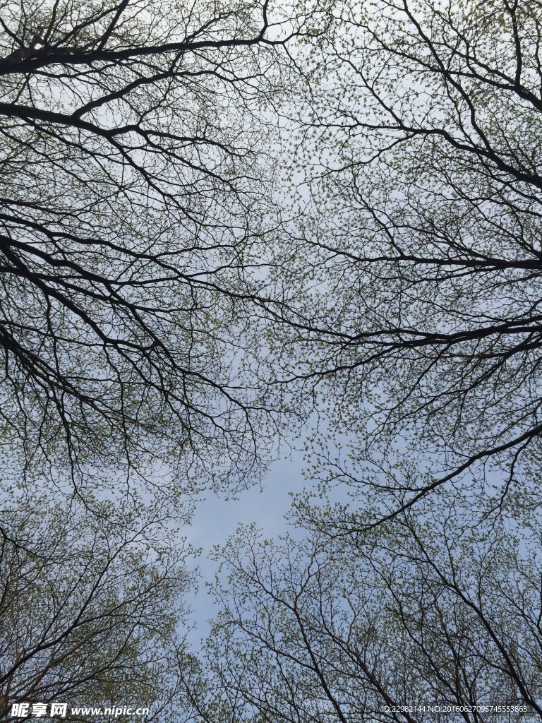 密集