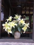 百合