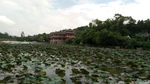 南宁 狮山公园