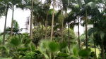 南宁 狮山公园