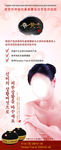 桑黄美人