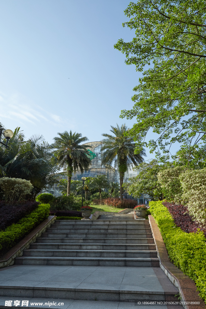 户外植物旅游景点