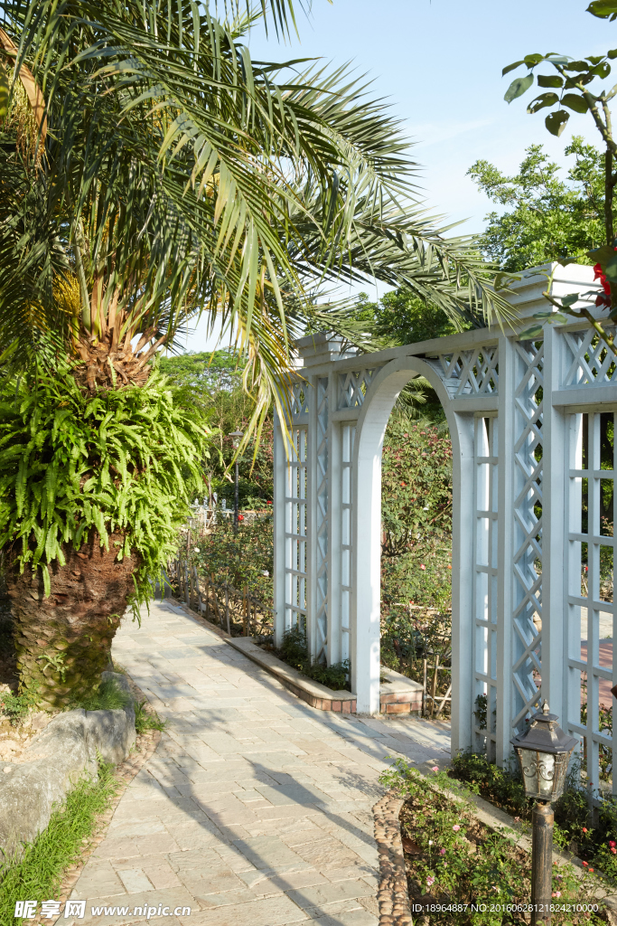 植物园户外植物建筑背景