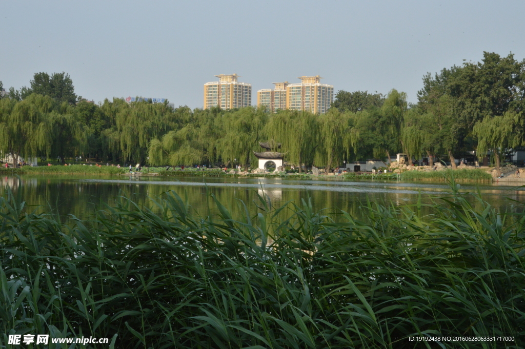 陶然亭风景