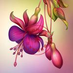 手绘花
