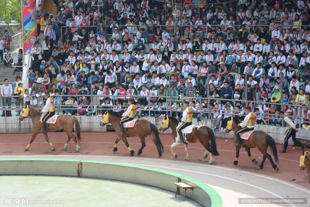 骑马表演