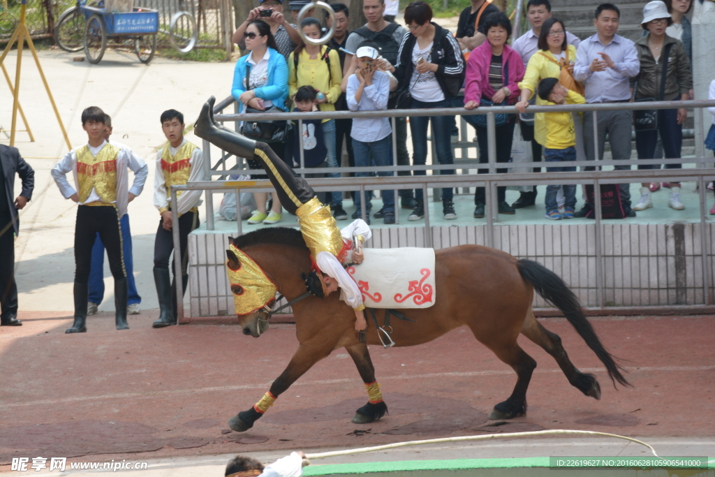 骑马表演