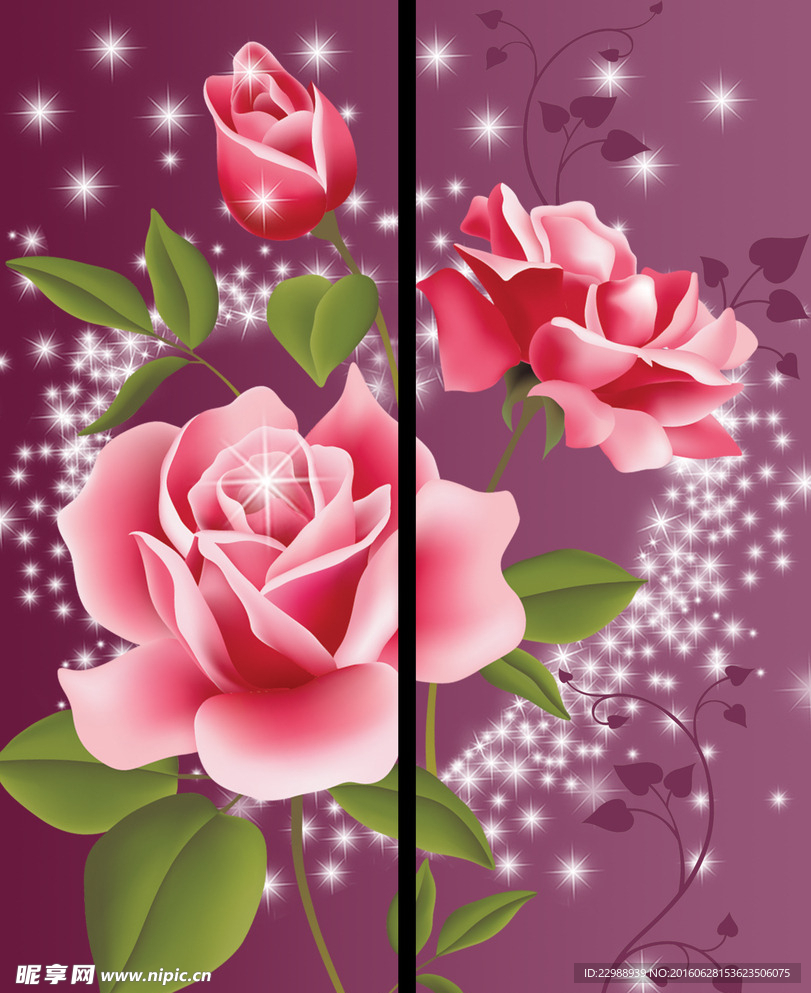 玫瑰花