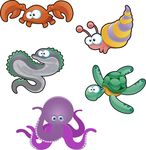 乌龟 螃蟹 海洋生物