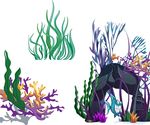 海藻 珊瑚