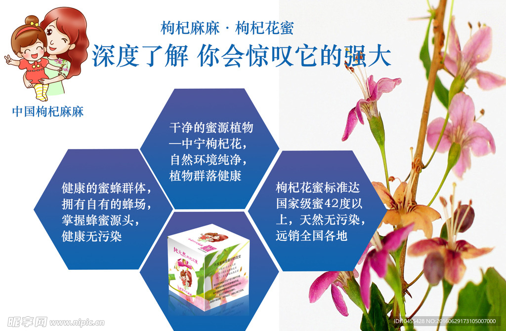 中国枸杞枸杞蜜宣传图片