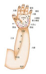 小儿推拿手掌穴位图片