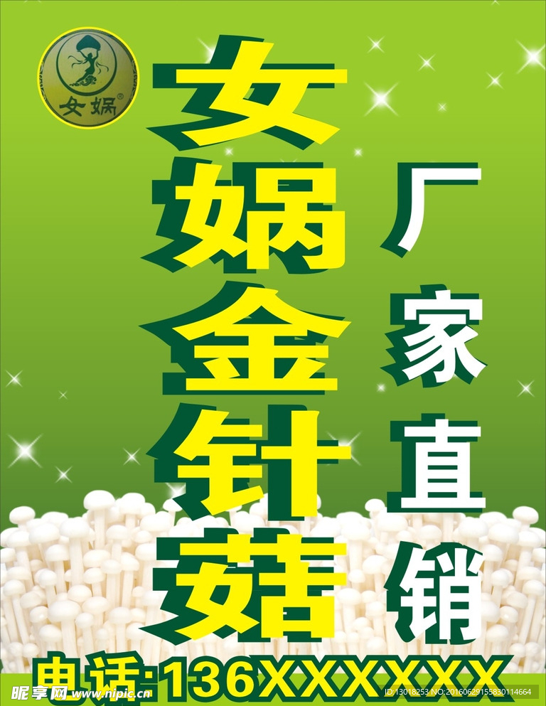 女娲金针菇