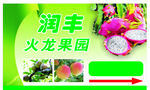 果园广告
