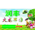 火龙果园