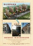 房地产宣传单