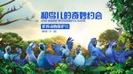 与鸟儿的约会
