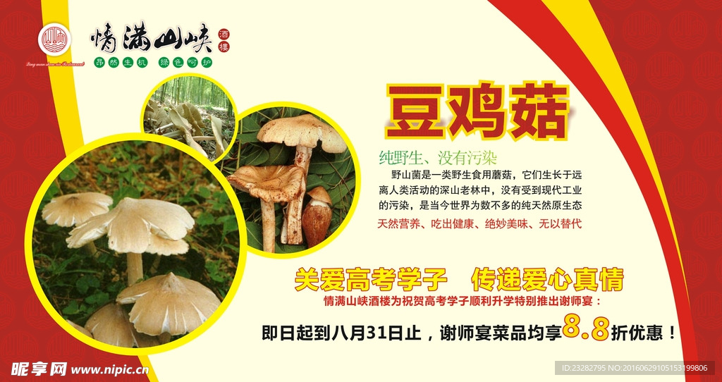 斗鸡菇