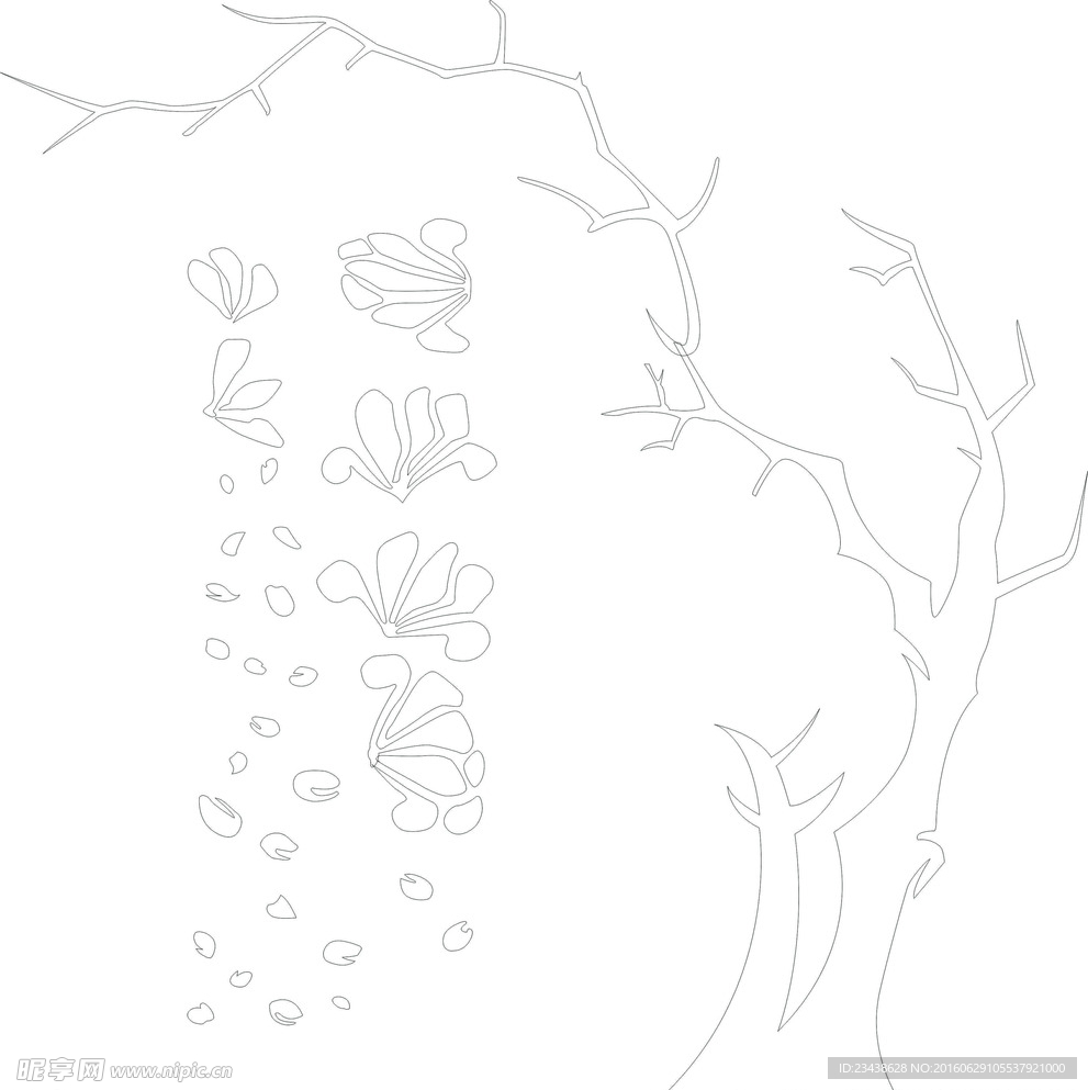 兰花
