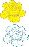 牡丹花线条