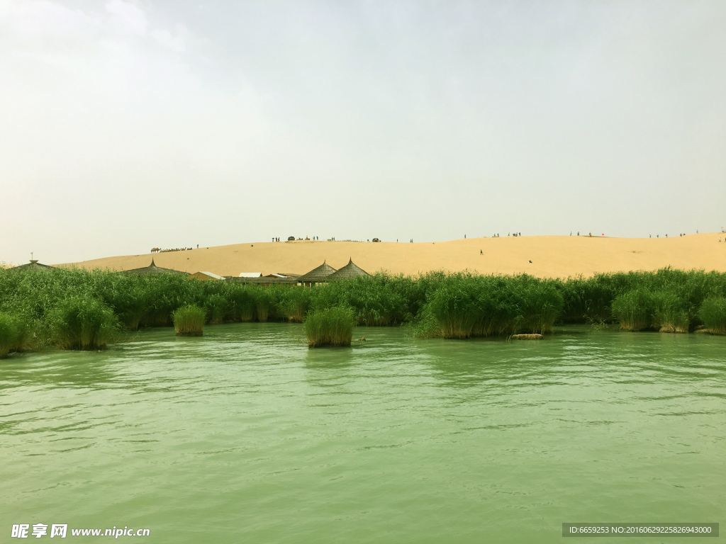沙湖湿地