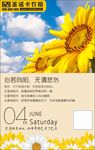 心若向阳 无谓悲伤