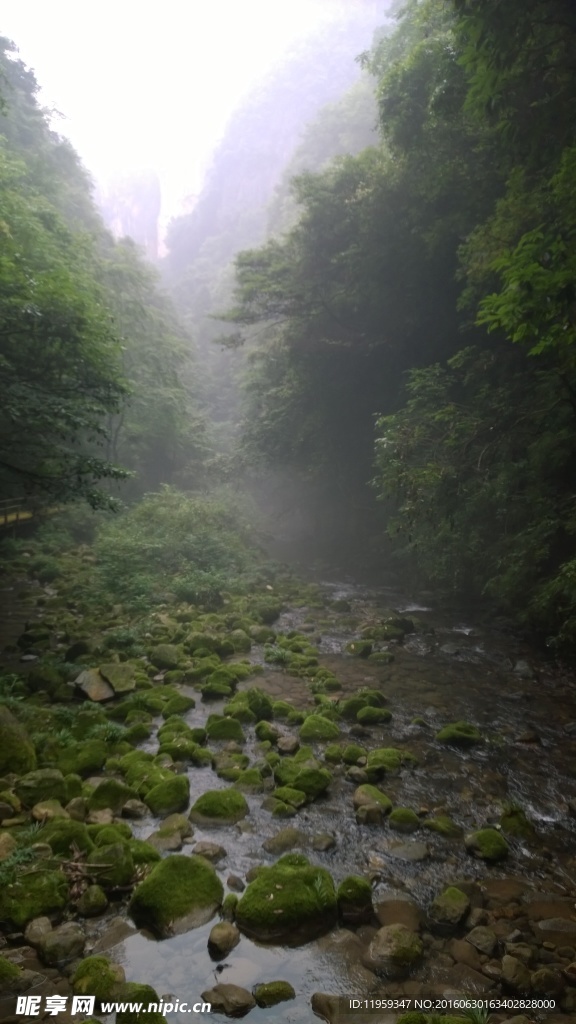 张家界美景