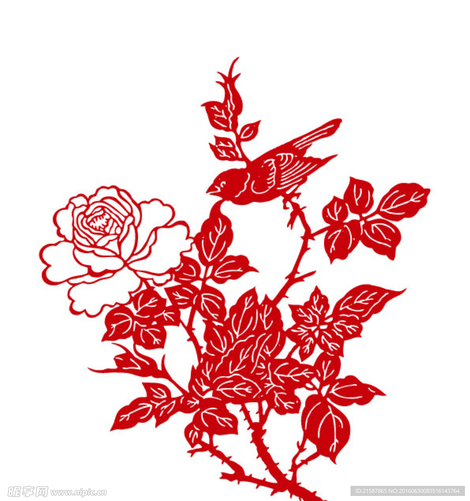 牡丹
