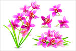 鲜花