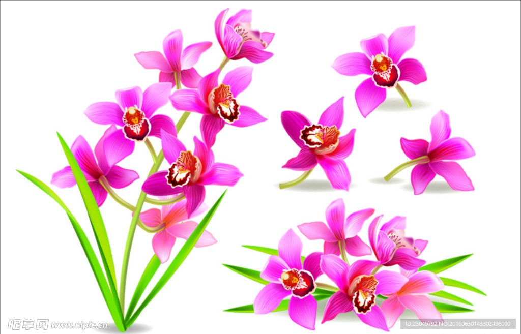 鲜花