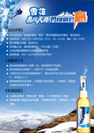 雪花勇闯天涯