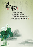中国风校园文化坚韧