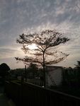 黄昏