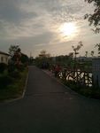 黄昏