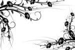花纹