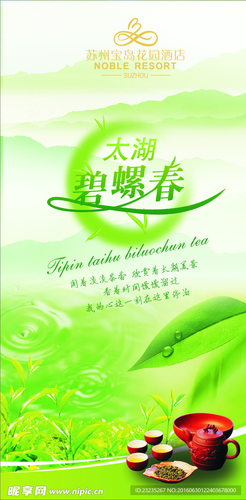 茶海报 酒店碧螺春