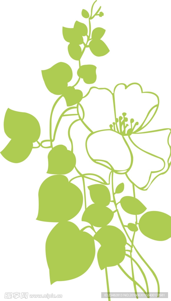 花纹