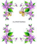 紫色蝴蝶花框