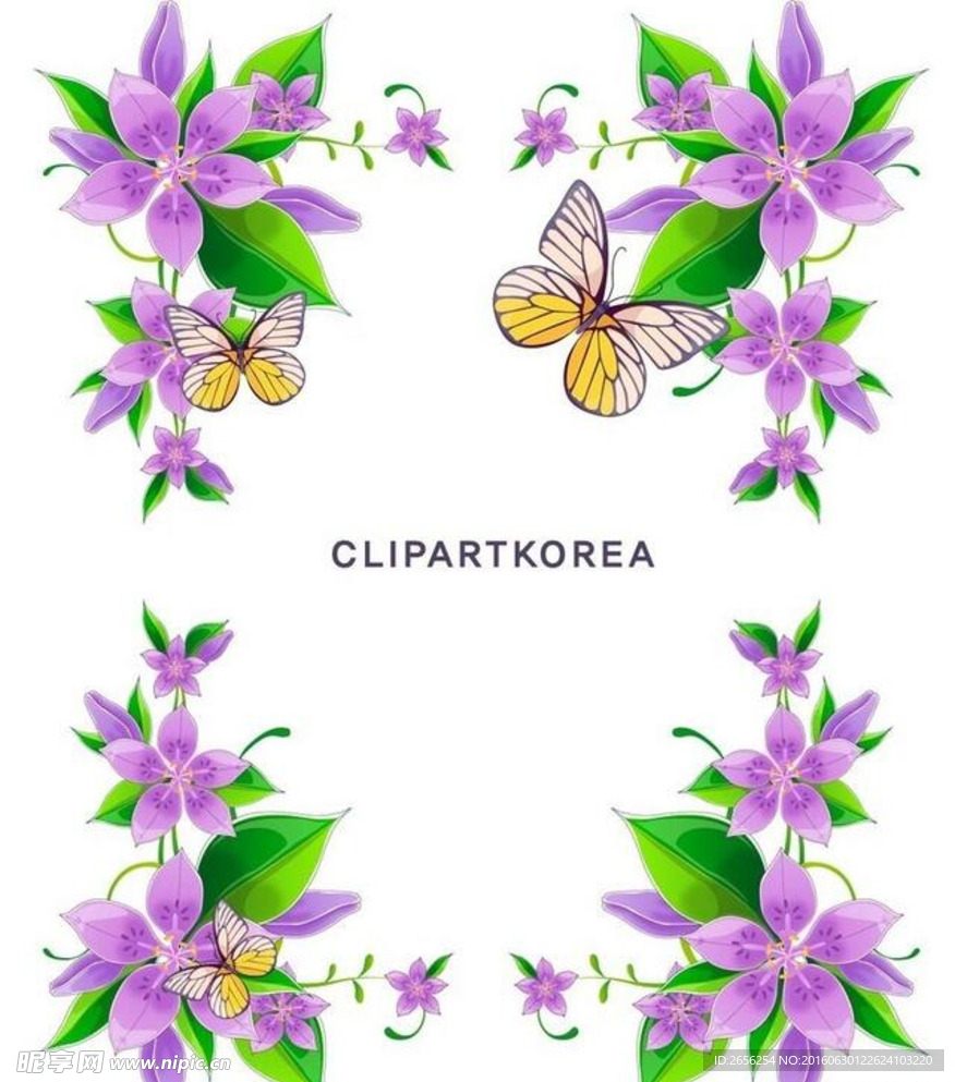 紫色蝴蝶花框