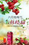 杨梅水果节海报
