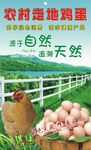 农村走地鸡蛋土鸡蛋吊牌标签名片