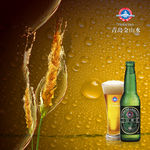 青岛金山水啤酒