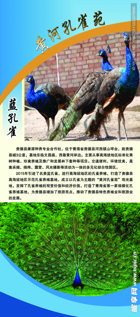 孔雀苑
