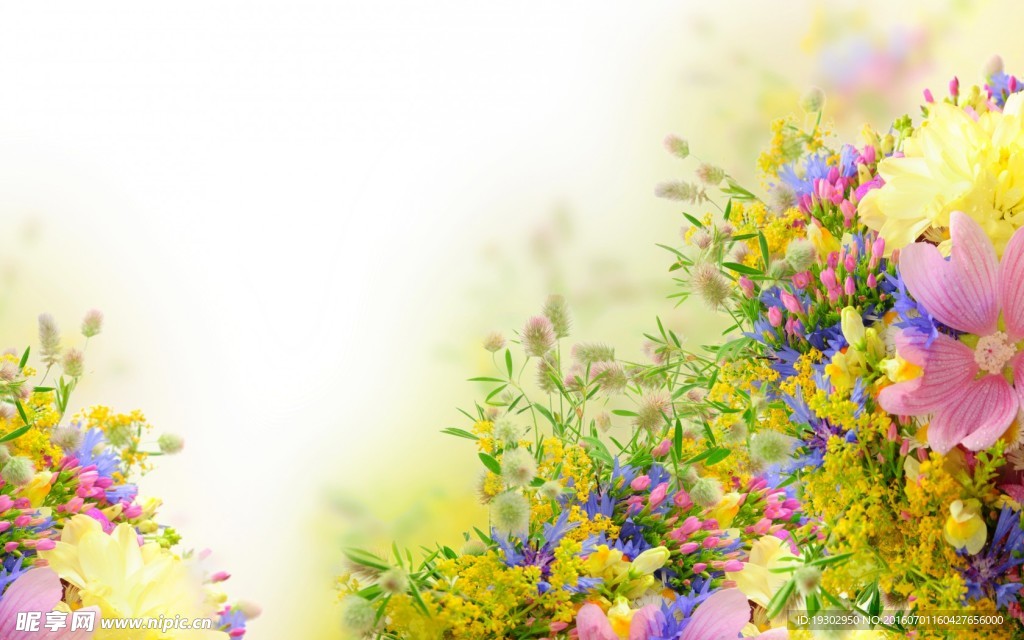 牡丹花背景
