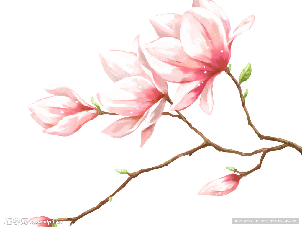 手绘唯美桃花PSD素材背景图