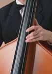 提琴演奏