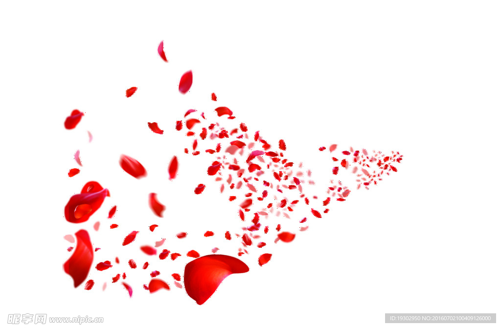 玫瑰花瓣